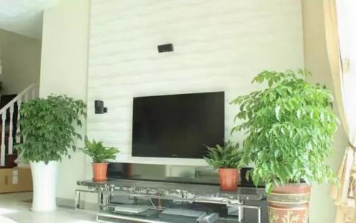 如何远离装修后的油漆味